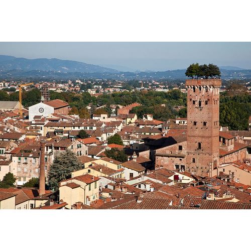 Eggers, Julie 아티스트의 Italy-Tuscany-Lucca The rooftops of the historic center of Lucca and the Guinigi tower작품입니다.